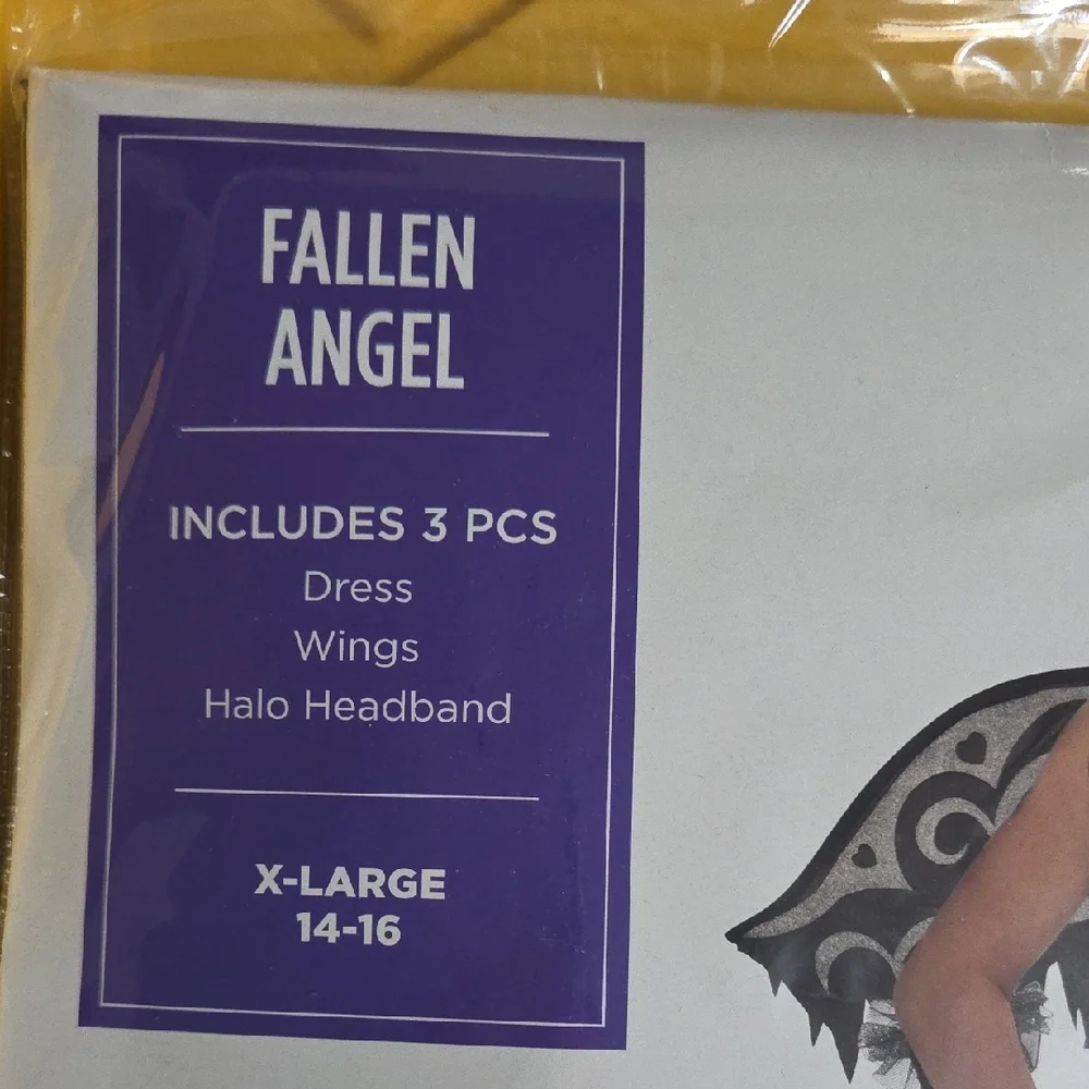 Fallen Angel Kids Costume - Black and White
